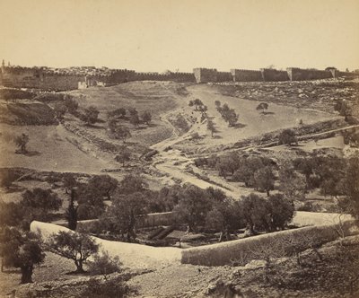 Gerusalemme. Giardino di Getsemani da James Robertson